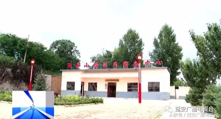 陕西黄龙县界头庙镇农业,黄龙县界头庙发展怎么样