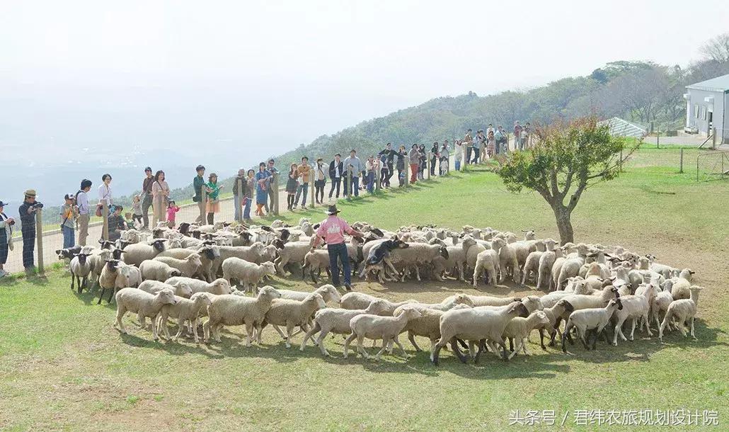 亲子牧场的标杆，看看这家年入2亿的母亲牧场是怎么做到的