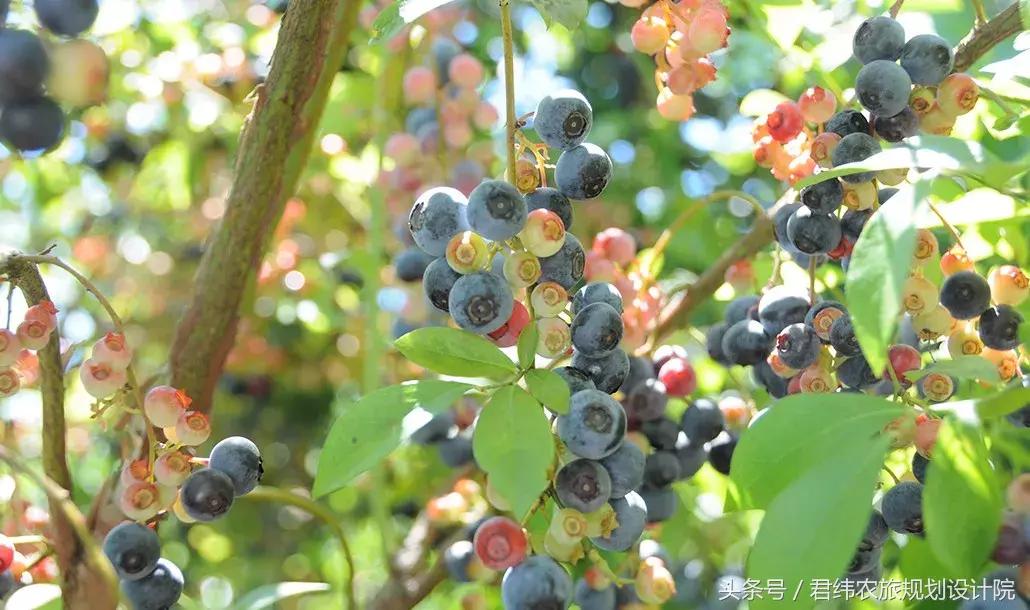 亲子牧场的标杆，看看这家年入2亿的母亲牧场是怎么做到的