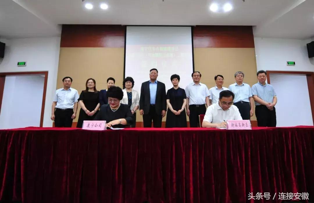 鍚堣偉搴峰畞鏂扮珯椤圭洰,缇庡浗搴峰畞鍚堣偉宸ュ巶椤圭洰