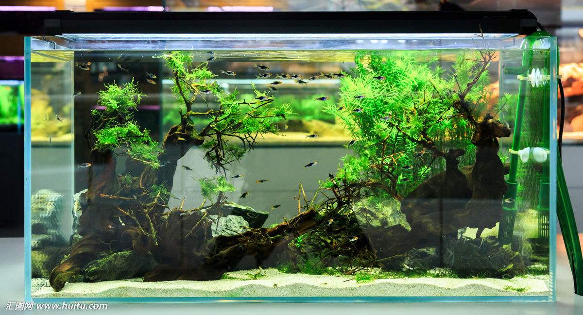 1.8米嵌入式生态鱼缸制作教程,新手如何制作生态造景小鱼缸