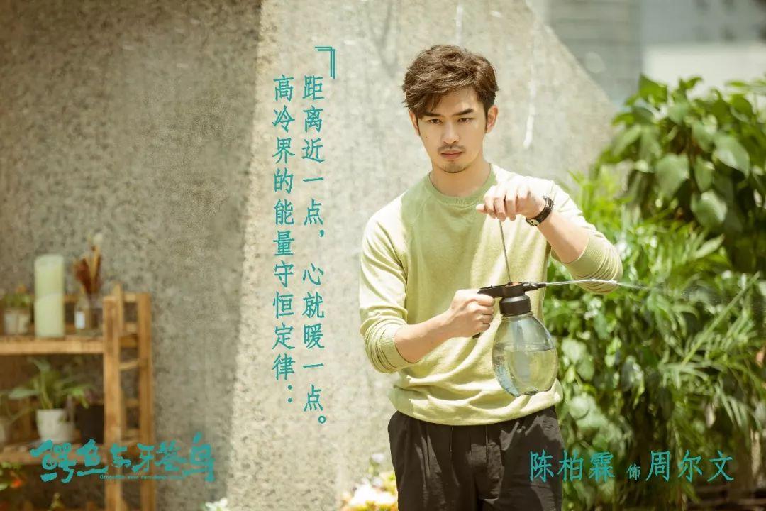 陈柏霖张天爱最新视频,确认过眼神遇上对的人林俊杰