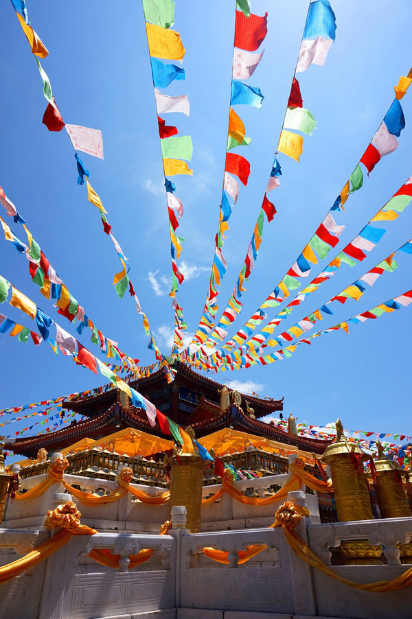 晒黑攻略,晒黑指南