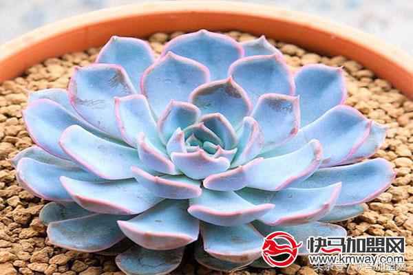 没经验的女性开什么店比较好,没有经验开什么店最合适