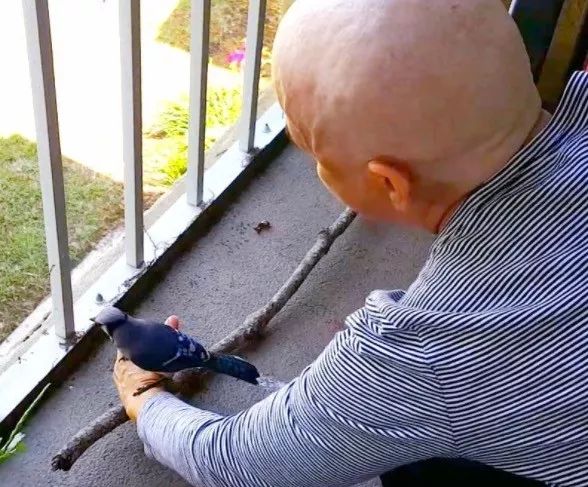 万物皆有灵救小鸟,万物皆有灵有人救了