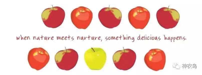 有机认证是智商税吗,有机认证简介