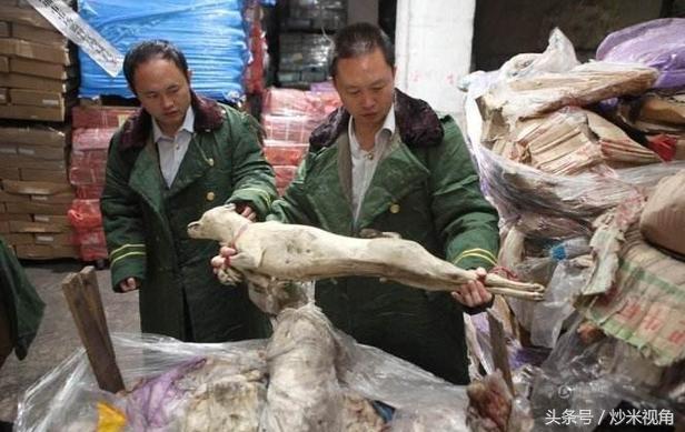 丧尸病毒如果真的爆发该如何生存,如果世界上真有丧尸该怎么办