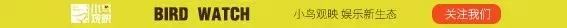 小鸟动物世界动画片,小鸟观映点播院线系统操作