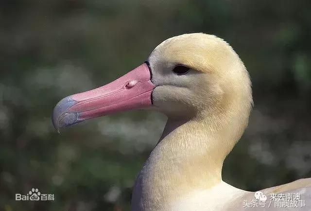 这座小岛究竟隐藏了多少秘密,一座鲜为人知的隐藏小岛