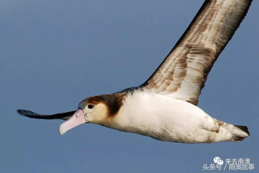 这座小岛究竟隐藏了多少秘密,一座鲜为人知的隐藏小岛