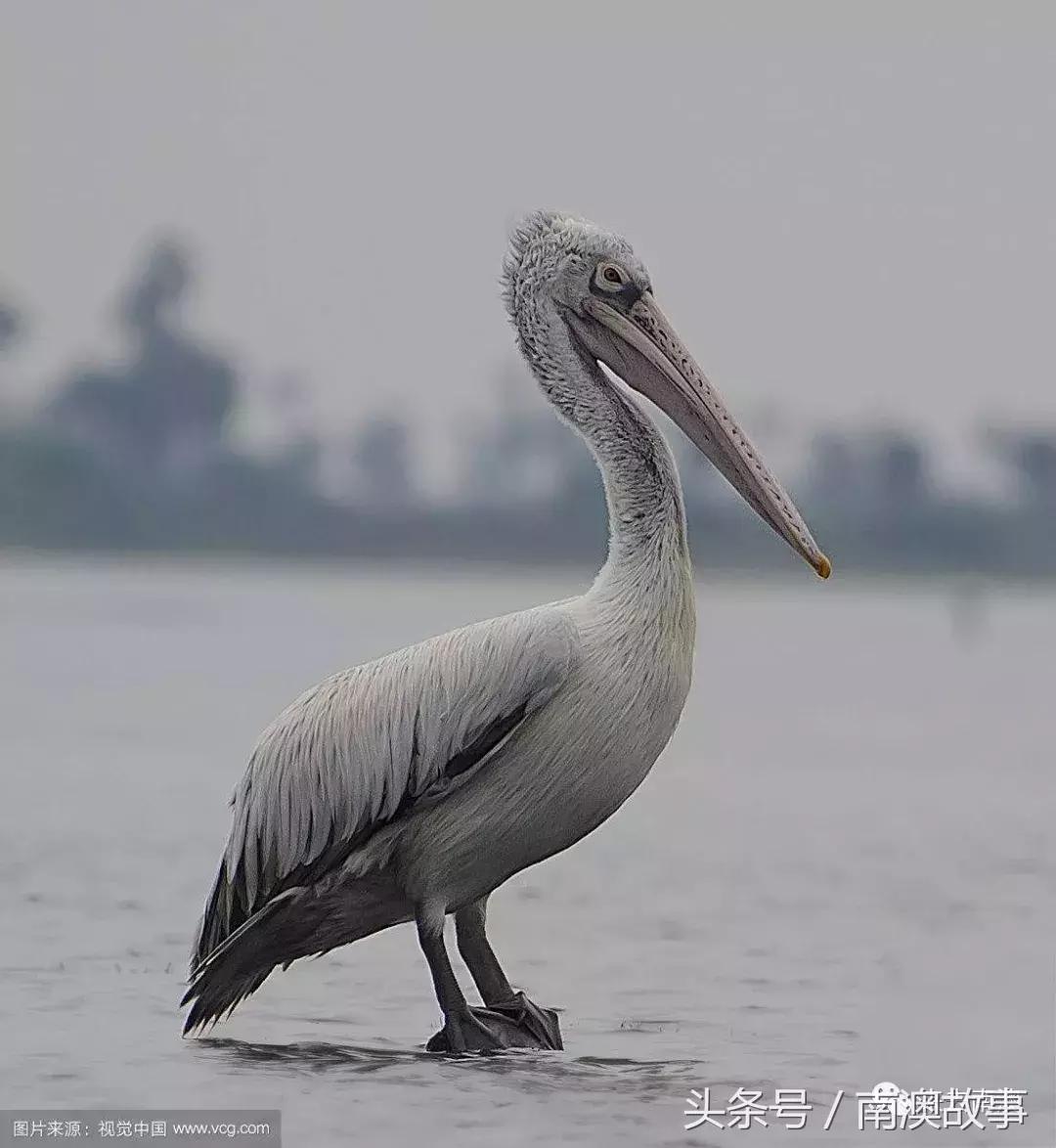 这座小岛究竟隐藏了多少秘密,一座鲜为人知的隐藏小岛