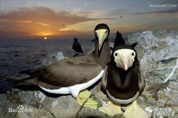 这座小岛究竟隐藏了多少秘密,一座鲜为人知的隐藏小岛