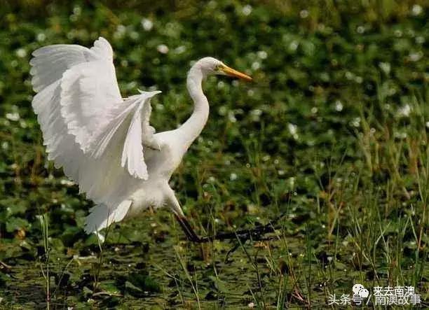 这座小岛究竟隐藏了多少秘密,一座鲜为人知的隐藏小岛