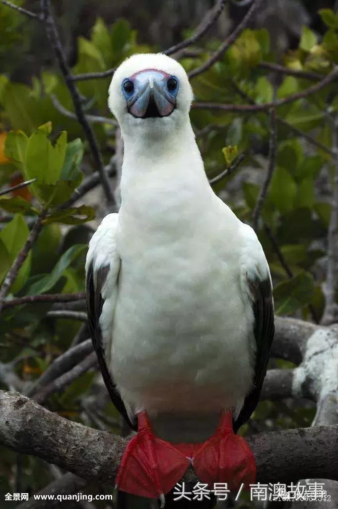 这座小岛究竟隐藏了多少秘密,一座鲜为人知的隐藏小岛