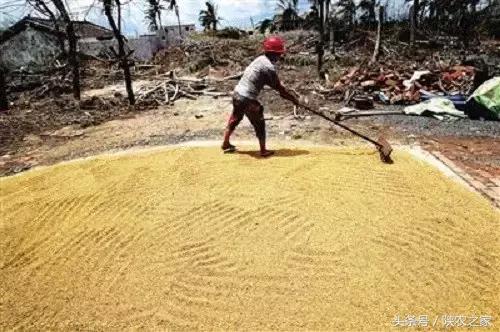 农村种地顺口溜希望朋友们喜欢,现在农民难种地苦的顺口溜