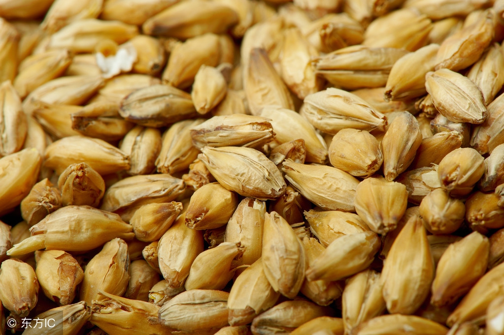 辨证用药与饮食禁忌的关系,中医用药禁忌要记牢