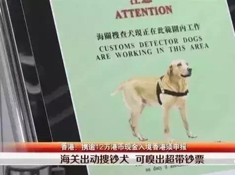 去香港超过7天了罚款吗,到香港没带港澳证会罚款吗