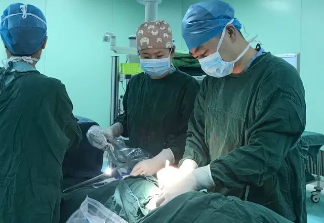 胎儿胎位大挪移,胎儿内脏器官错位