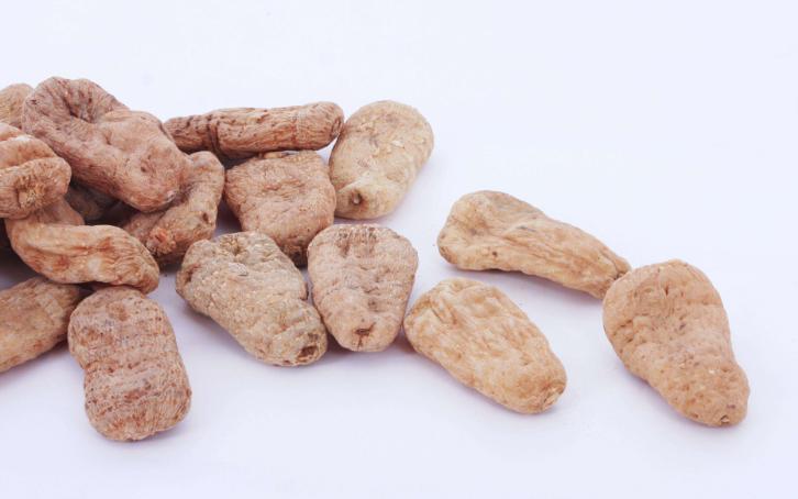 哪种生长素能让天麻高产,天麻蜜环菌高产生产技术