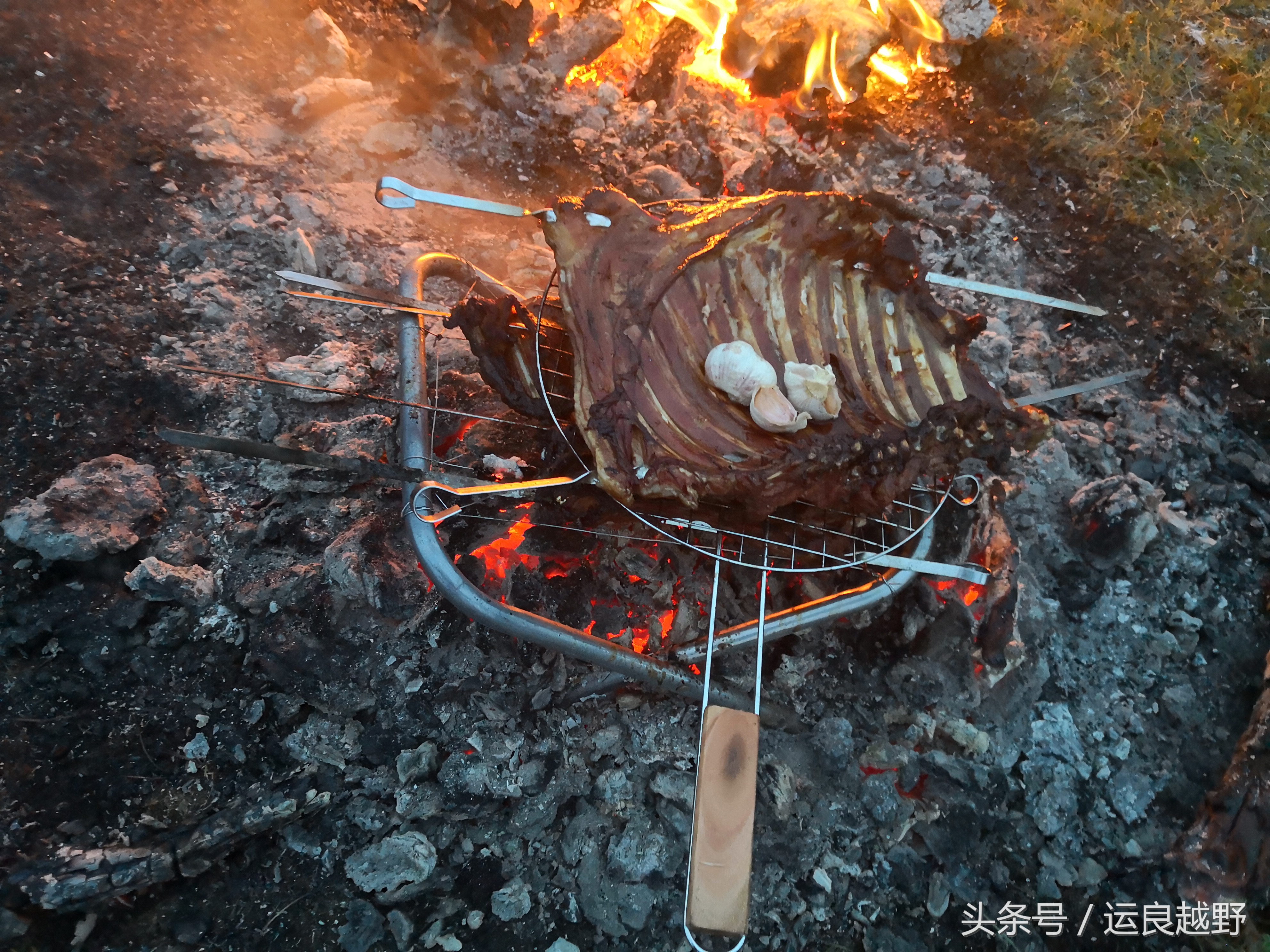你问我归来由何方，我指着外蒙的方向