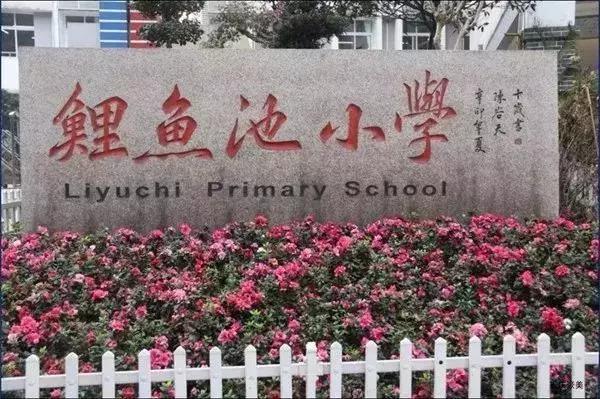 2021重庆小学划片区查询,重庆2023小学划片时间