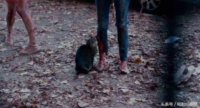 头一回看到这样的惊悚片，感谢丧尸，教会我们那么多人生道理