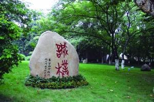 2018年重点名校小升初面试试题,南京名校小升初面测真题汇总