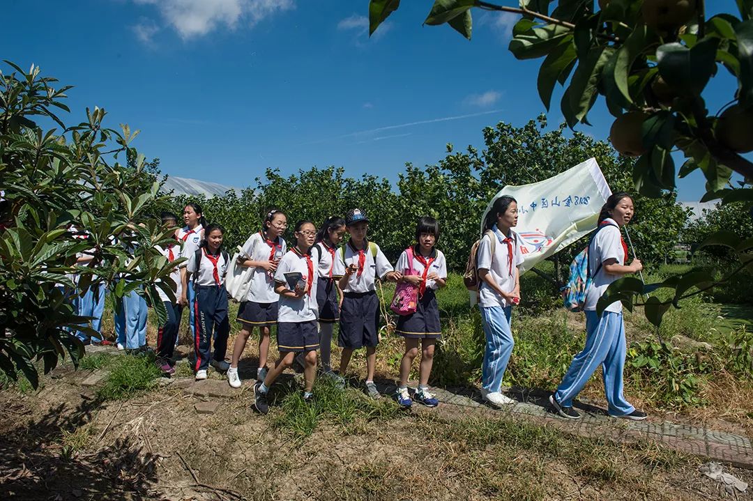 金山比较好的夏令营报名,金山区夏令营方案