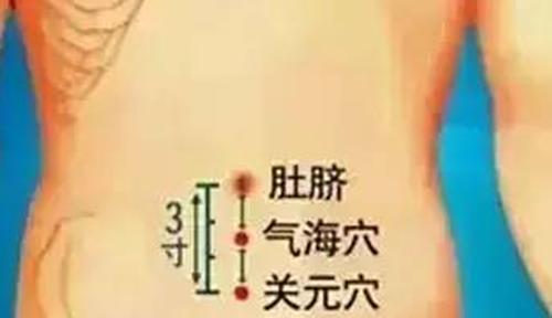 气虚体质调养攻略,气虚体质的科普知识