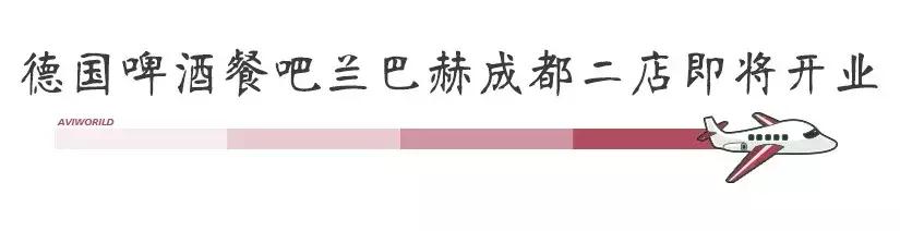 champion成都国金,champion中国店