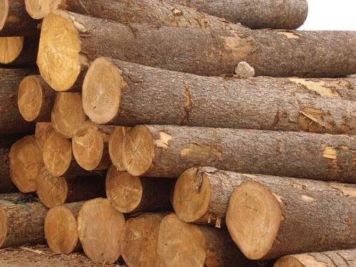 装修木工板规格,装修用的大芯板