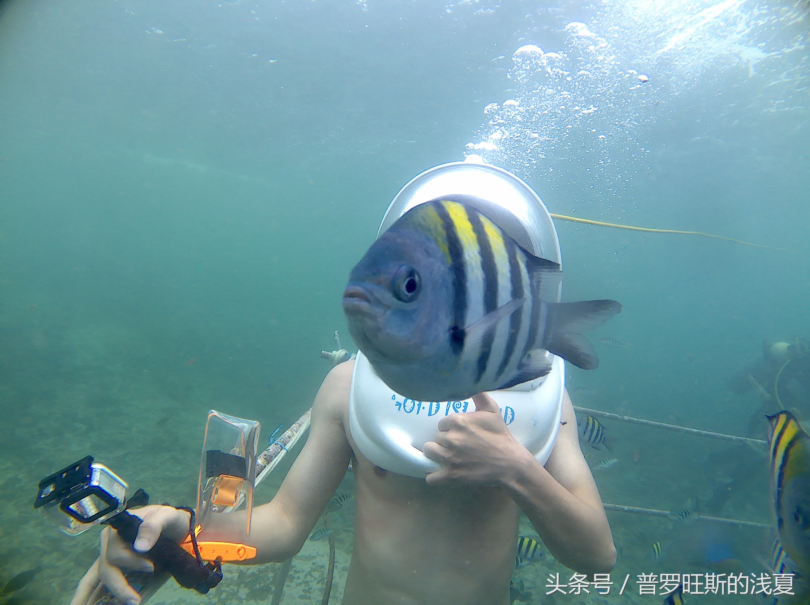 bali巴厘岛冲浪,baligo巴厘岛