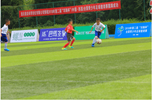 邛海篮球赛,高原杯全国青少年足球邀请赛