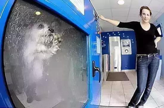 史上最奇葩泳衣,史上最奇葩的搞笑发明