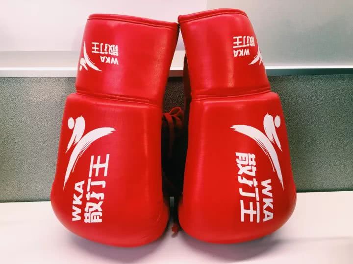 拳套科普,拳套初学者入门推荐