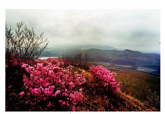 百首诗赞拉法山,百首诗作