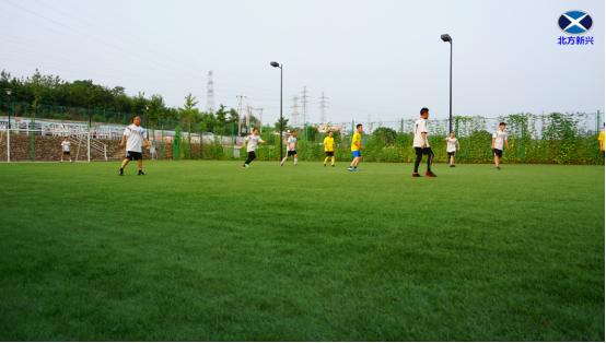 充满激情的绿茵场,激情飞扬绿茵赛场