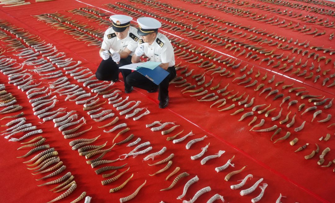 一车发霉的大豆竟“值”1.06亿！哈尔滨查获特大*私走**案