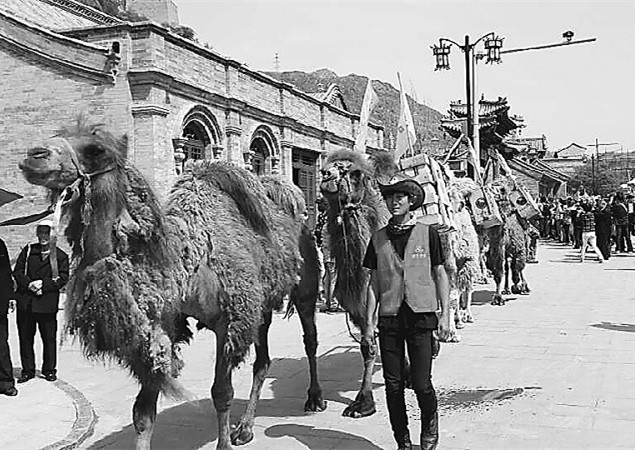 「区域优势独特」河北省堪称北方茶产业综合走势的晴雨表