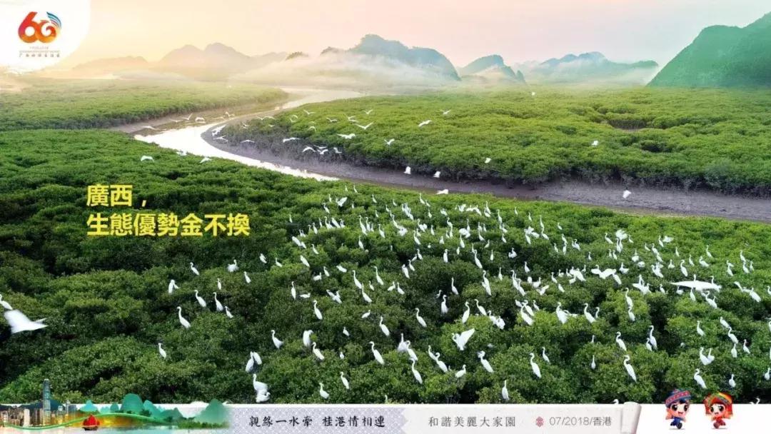 广西代表团入会场,广西党政代表团访问港澳