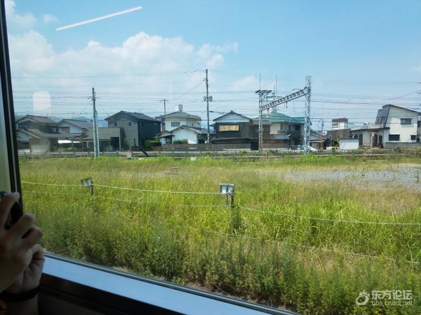 坐豪华游轮,坐豪华游轮是什么体验