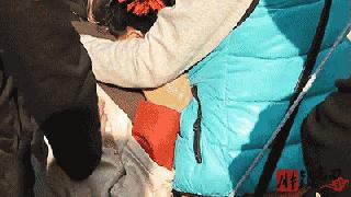 赵丽颖因停工被部分人恶意抹黑,赵丽颖因停工休息登上热搜榜