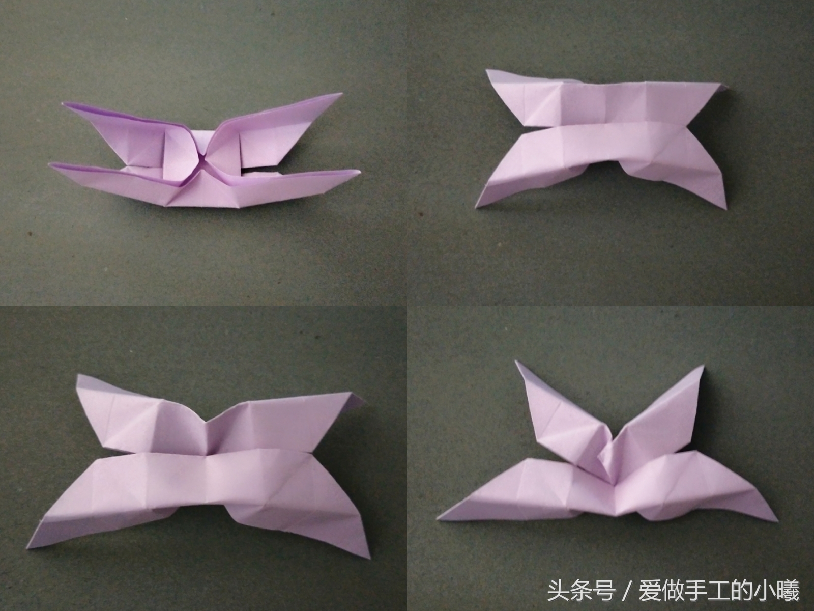 蝴蝶折纸教程看过来,所有蝴蝶折纸教程