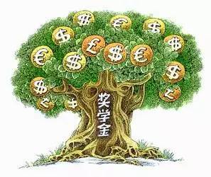 暑期电信诈骗怎么预防,青少年如何预防电信网络诈骗具体