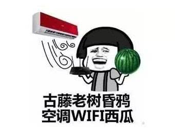 2022年宝鸡避暑好去处,宝鸡周边夏日避暑绝佳去处