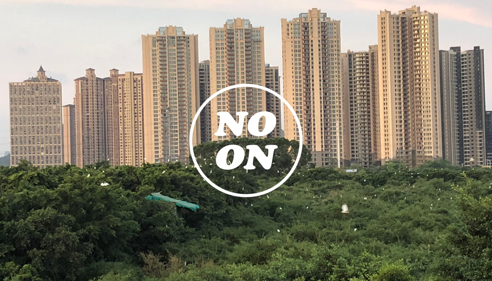 广东佛山鸟叔的视频,顺德鸟叔全景图