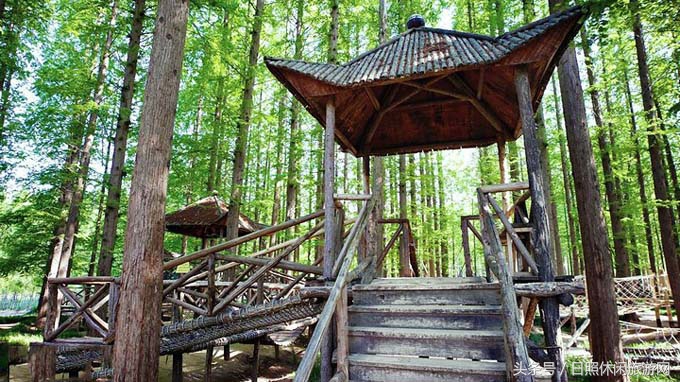 日照直播,日照房价