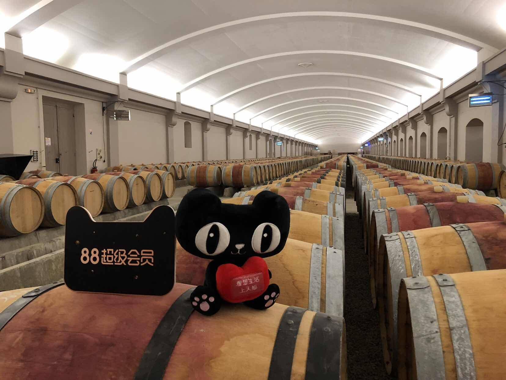 天猫的88超级会员有什么用,天猫88会员升级