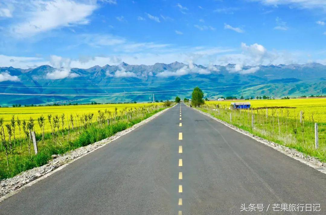 大美青海7月最美的风景,四川青海旅游十大必去景点