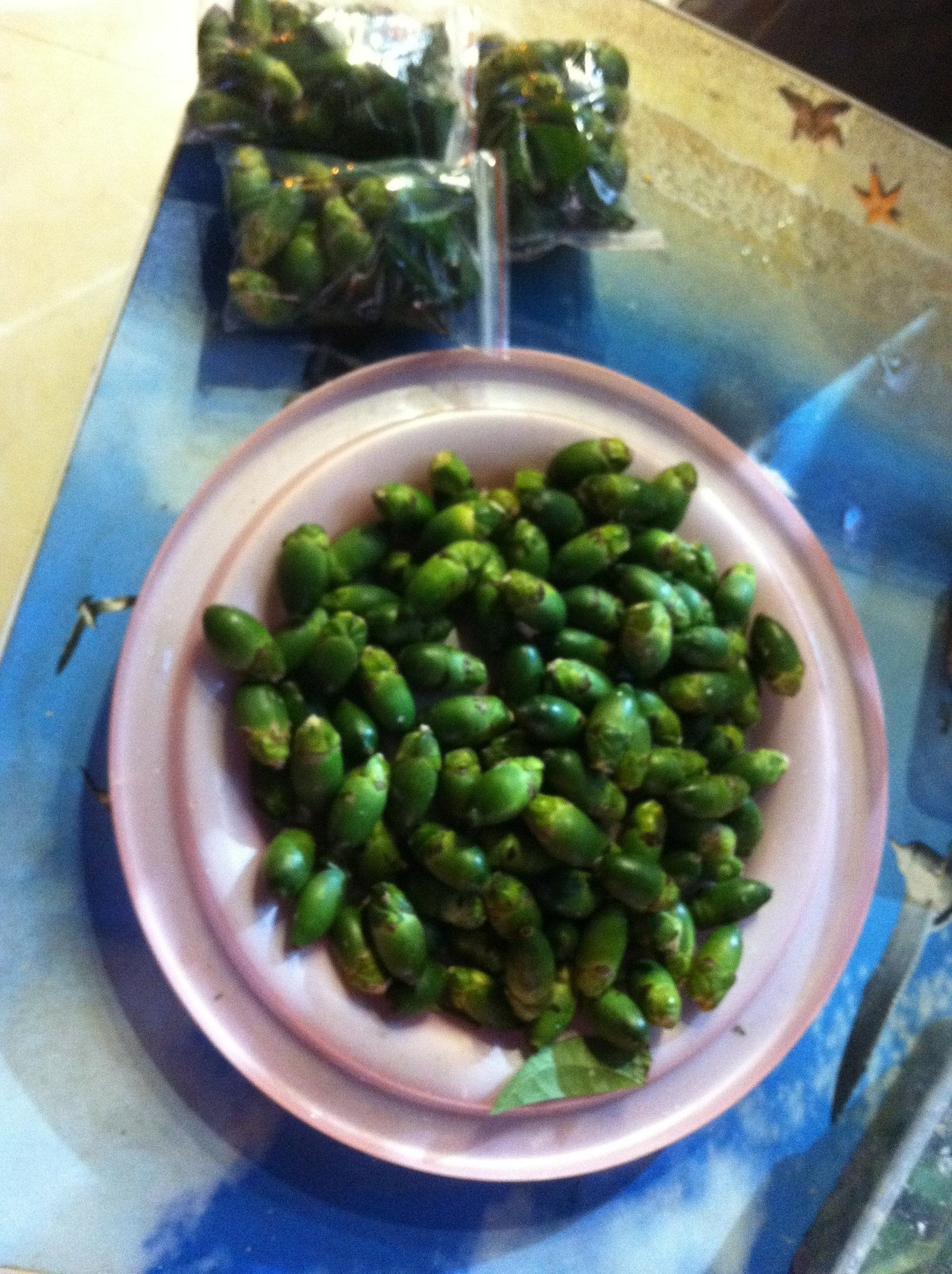 我和大海有个约会三亚看海之旅,我们与三亚的浪漫之旅